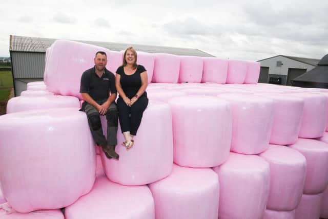 Pink hale bales!Dumb Hall Farm, Steetley, Worksop   Chris & Sharon Clark