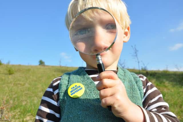 Notts Wildlife Trust is holding a Spot It, Count It event at Idle Valley Nature Reserve in Retford this weekend