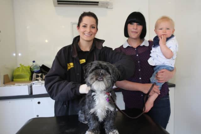 Get your dog micro-chipped for free.