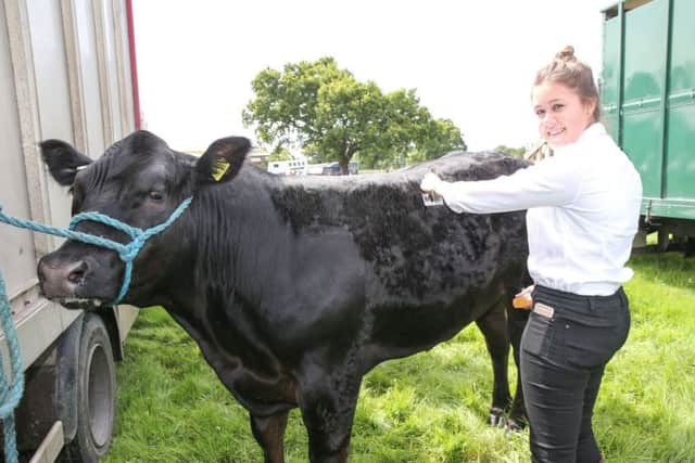 Rebecca Wilkinson and Charlie the Bull.