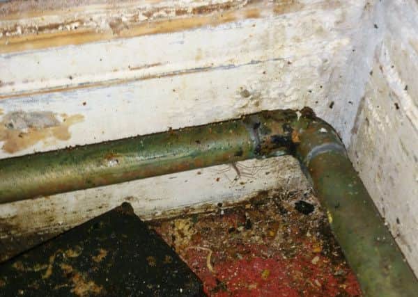 Asian spice in Sandringham Road, Intake was closed by Doncaster council on August 18 for two days due to a mice infestation.