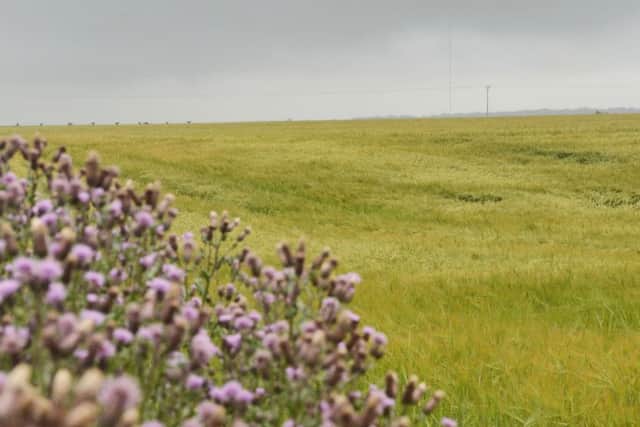 Proposed site for a wind farm near Hemswell Cliff G120710-1c