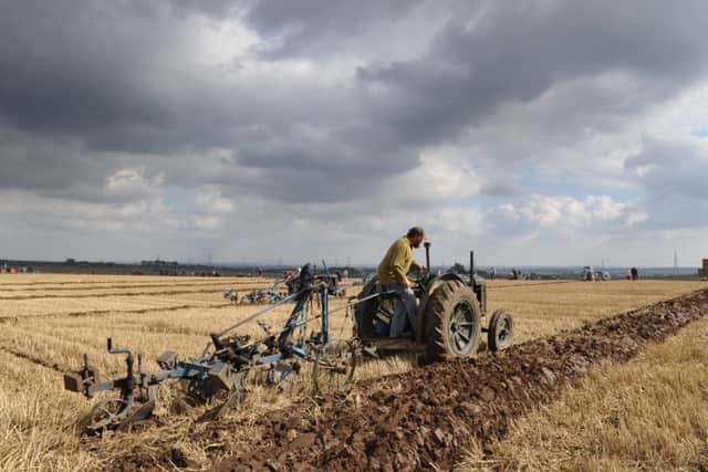 Festival of the Plough 2015 at High Burnham near Epworth. Action from the tractor ploughing classes.