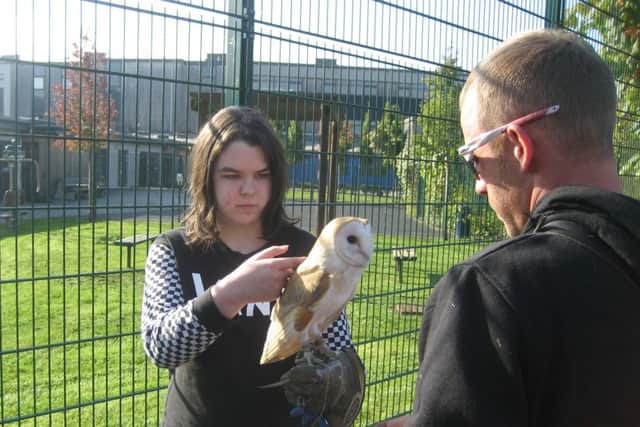 Falconry display