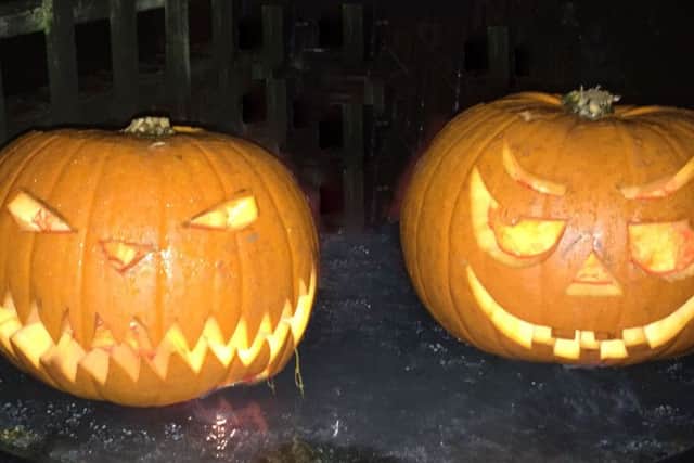 Double trouble. Photo sent in by Calvin Shaw.