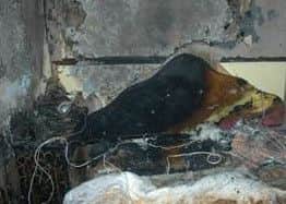 Electrical fires