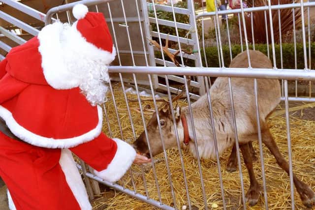 The event will see real life reindeers descend on the centre