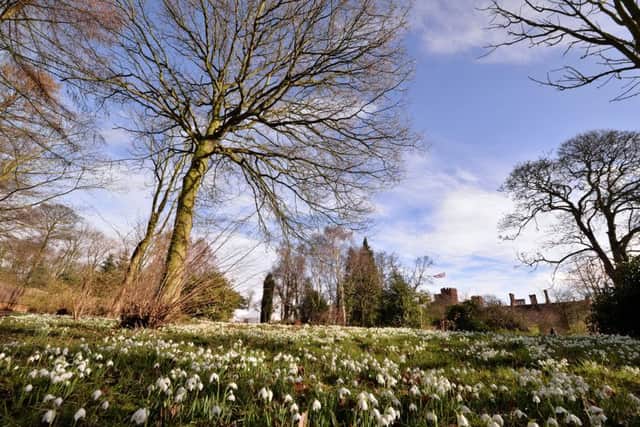 Snowdrops at Hodsock Priory