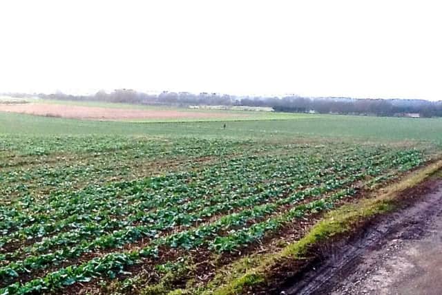 Rural landscape, Epworth