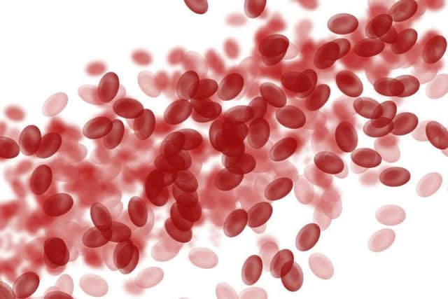 Researchers say the natural killer cells hunt and destroy foreign cells, including cancer cells that can spread and form tumours.