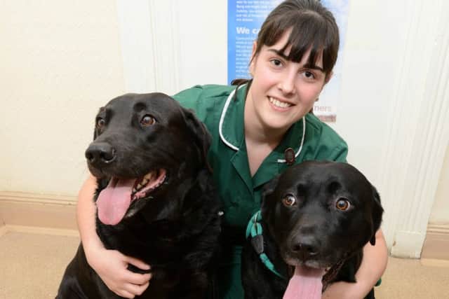 Dowdings nurse Kirsty Preston has her hands full weighing Labradors Harry and Bob.