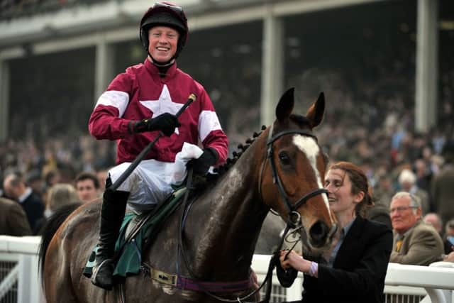 GOING FOR GOLD -- leading Gold Cup hope Don Poli, one of many Willie Mullins-trained fancies lined up for the Cheltenham Festival next week. (PHOTO BY@ rossparry.co.uk/mikal ludlow).
