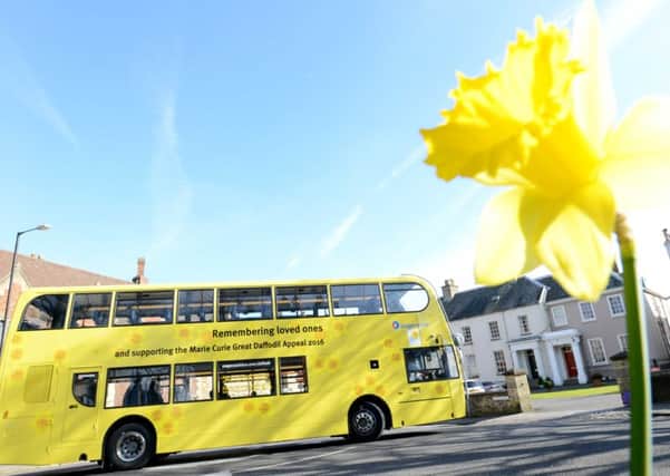 Marie Curie Daffodil buss