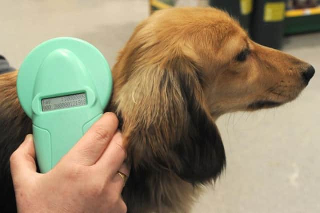 From April 6, all dogs in England, Scotland and Wales will have to be microchipped. In Northern ireland, it is already a legal requirement.