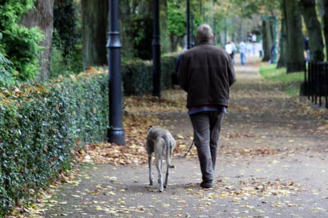ndet 30-10-12 mc 1
dog walker