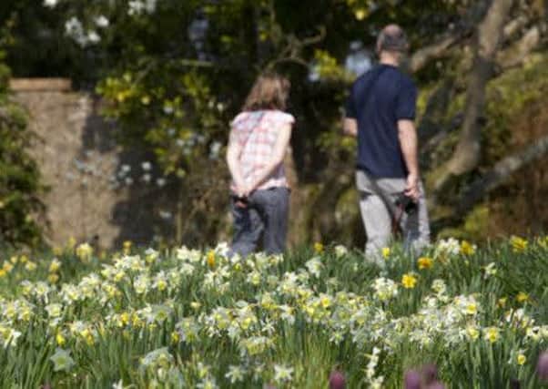 Visitors walking in the blossom-filled Wall Garden, Nymans, West Sussex, in April.