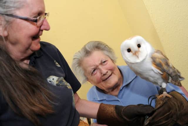 Jean Traylor, a resident of the North Warren House Care Home, meets up with Annette Mackenzie from Owlin'Mad and her Barn Owl Boogie during a Spring Fair on Saturday.