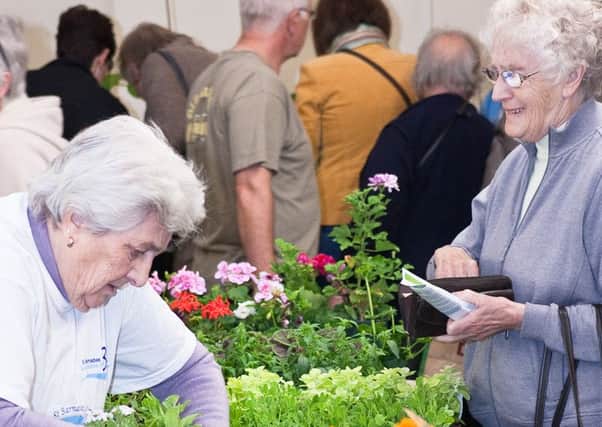 St Barnabas' Hospice is holding its annual plant sale at Morton this month. Picture: Andrew Rudolf