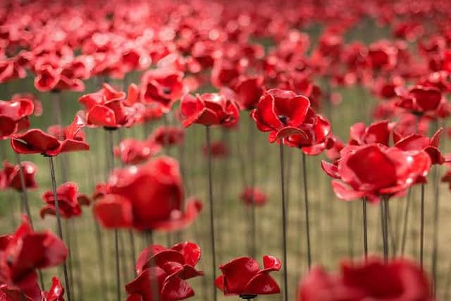 The iconic Poppies: Wave installation opens at Lincoln Castle this weekend