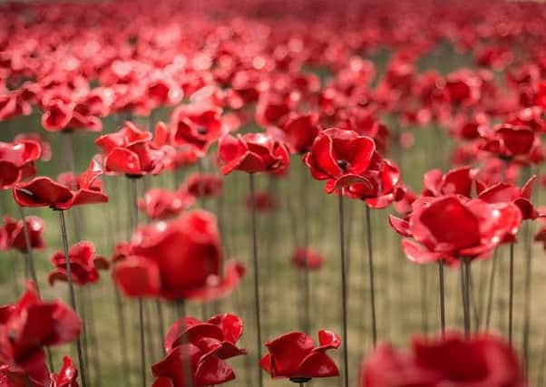 The iconic Poppies: Wave installation opens at Lincoln Castle this weekend