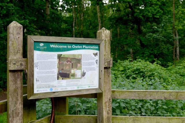 Owlet Plantation Nature Reserve, Blyton