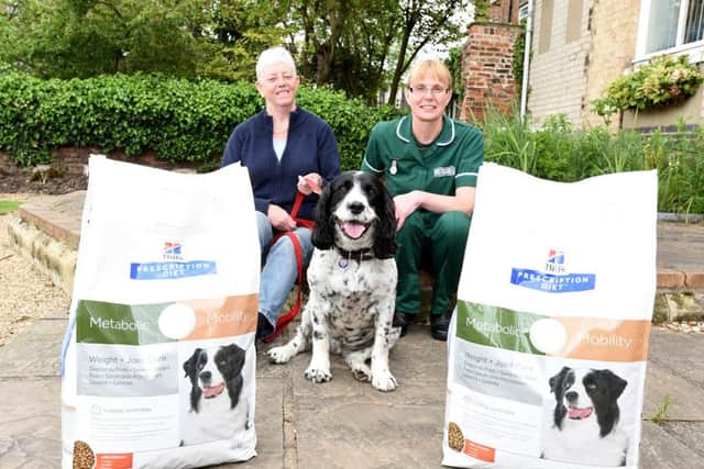 Myrtle with owner Sue Thomas and nurse Jane Ridgway