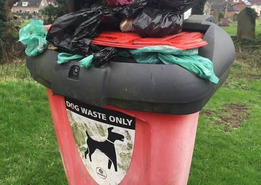 dog poo bin