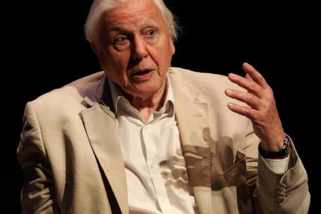 Sir David Attenborough at Sheffield Doc/Fest