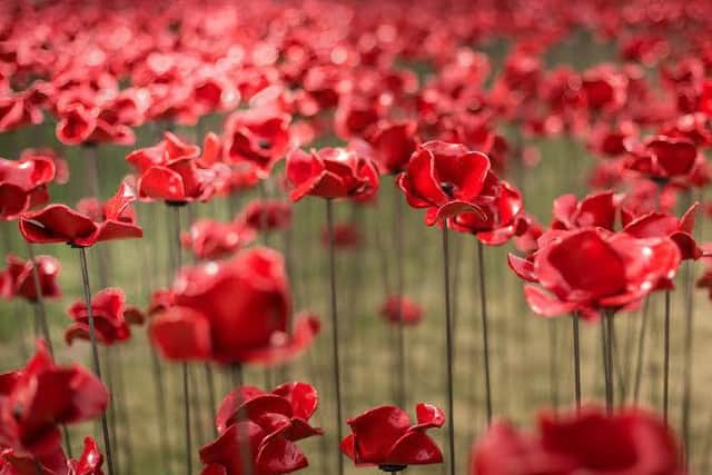 The iconic Poppies: Wave installation finishes at Lincoln Castle this weekend