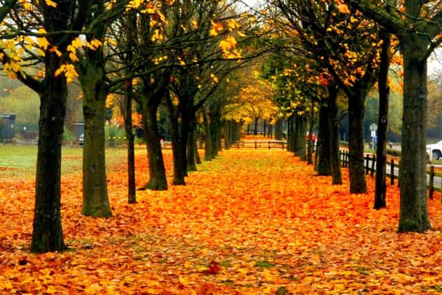 HAPPY DAYS: Autumn is officially on the horizon and summer is finally over.