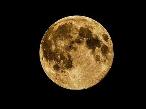 Look up tonight!