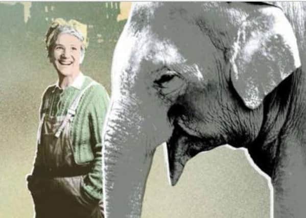 An Elephant in the Garden is being performed at Lincoln Performing Arts Centre this week