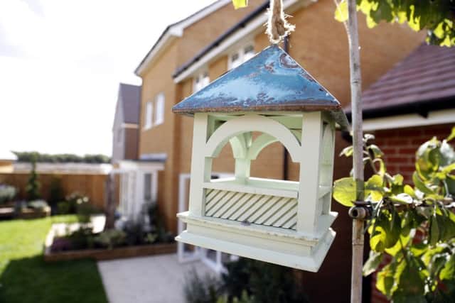 Bird feeder at new development