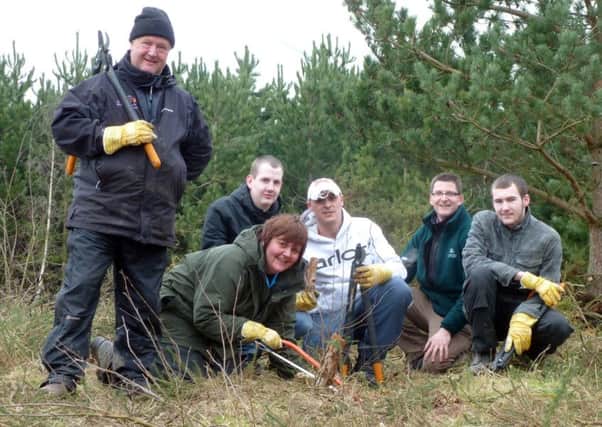 Volunteers are needed for a woodland management day at Manton Pit Wood