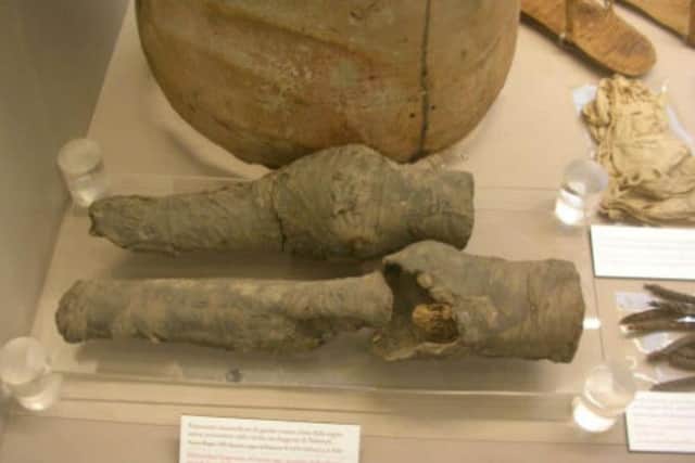 Thease are believed to be the mummified legs of Queen Nefertari. Photo by Professor Joann Fletcher