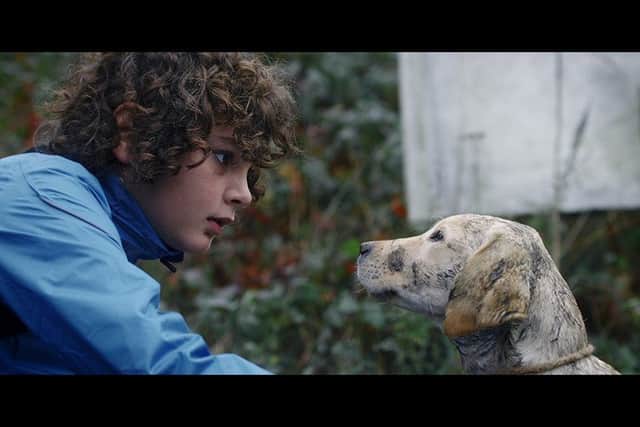 When Harry Met Hero, mini-film release by HOWND
