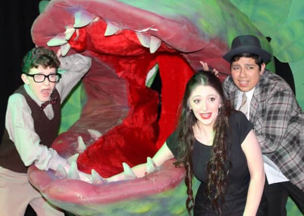 Gainsborough Academy presented Little Shop of Horrors as their Christmas show