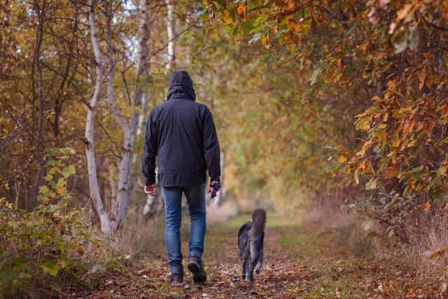 Walking the dog is a great way to get more exercise