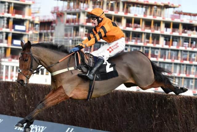 Favourite Thistlecrack, who has been ruled out of the Timico Cheltenham Gold Cup because of injury.