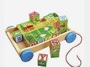 The wooden alphabet toy