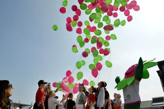 Gainsboroughâ¬"s Marshallâ¬"s Yard celebrates their 10th birthday with food and craft market, balloon release to mark the event