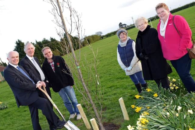 Councillors Ron Allcock and David Rose, pictured with parish councillors Ian Walker, Chairman, Cath Edward, Barbara Wood and Ann Parkin, tree planting in Owston Ferry as part of a initiative by North Lincolnshire Council. Picture: Marie Caley NEPB Tree Planting MC 1