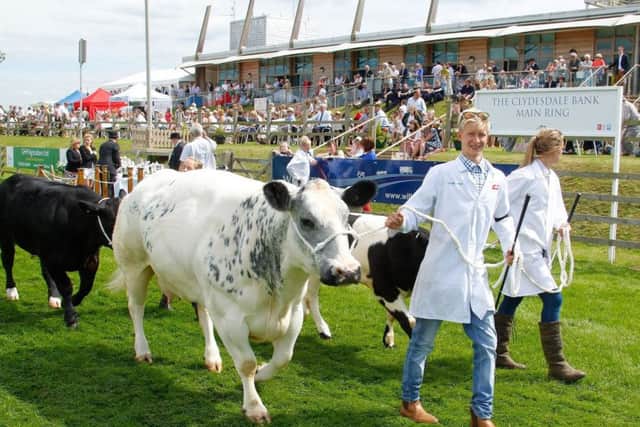 A typical scene from the Lincolnshire Show. (PHOTO BY: Kamara Photography).