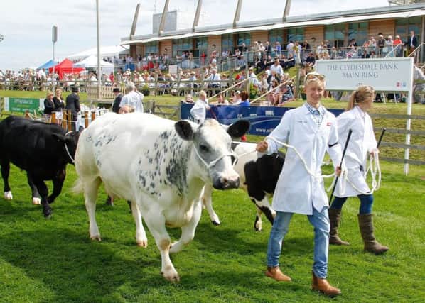 A typical scene from the Lincolnshire Show. (PHOTO BY: Kamara Photography).