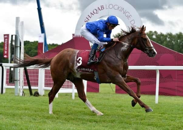 Godolphin star Hawkbill, who is one of many winners from last year's Royal Ascot expected to return in search of more success this week.