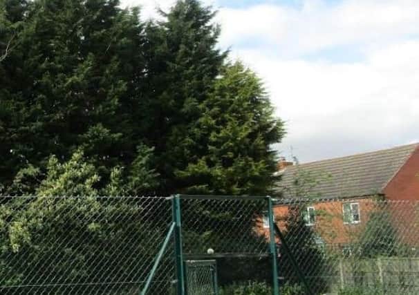 The hedge was causing a nuisance to five properties.