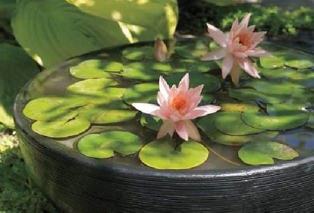 Plant pot ponds make simple and attractive water features in your garden