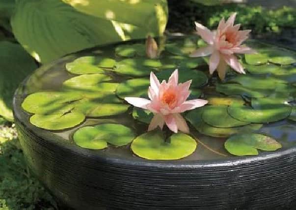 Plant pot ponds make simple and attractive water features in your garden