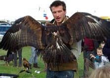 Birds of prey on display at Epworth Show.