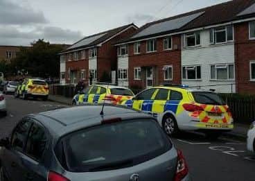 Helen Faccio tweeted this picture of the scene.